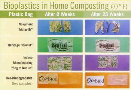 The Truth About Biodegradable Plastics Image